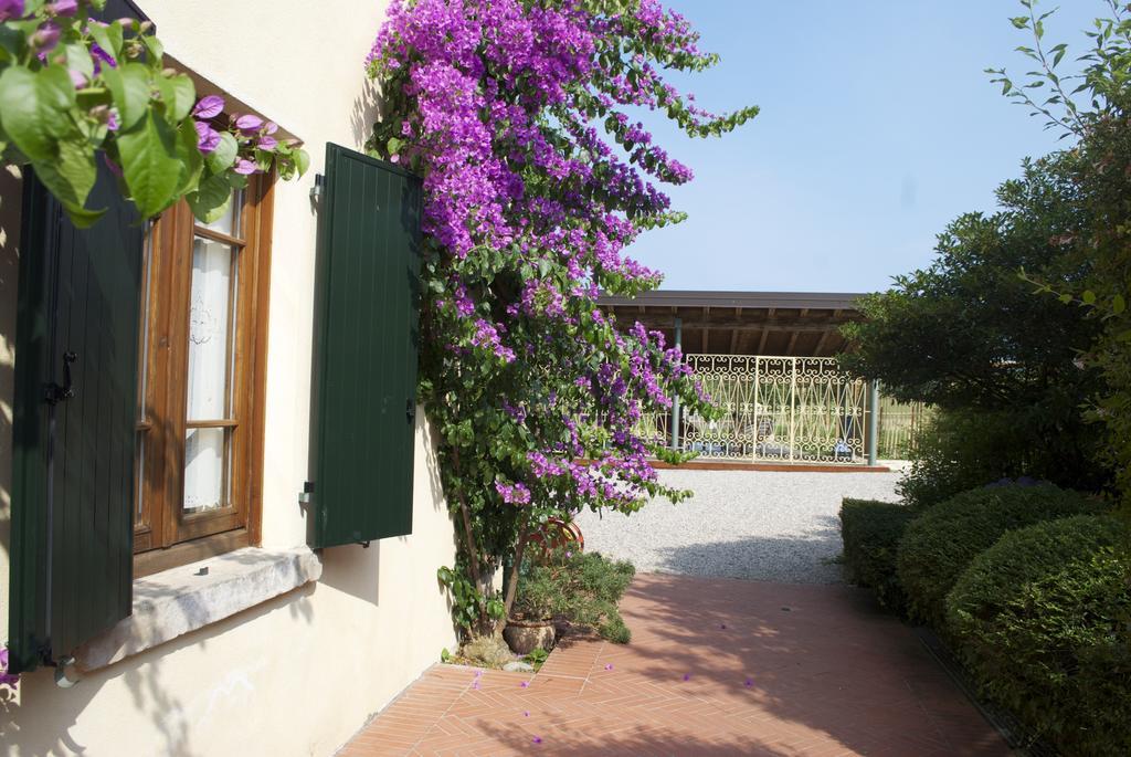 منزل الضيف سان فيليتْشي ديل بيناكو  في Agriturismo La Breda المظهر الخارجي الصورة